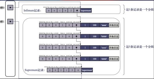 MySQL是怎樣運行的 從根兒上理解MySQL學習筆記（一）——互聯網域名根服務器運行的啟示